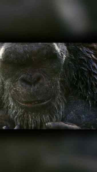 Godzilla VS Dark Kong: A Evil Version Of Kong In MonsterVers
