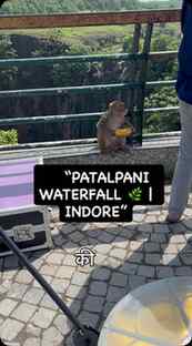 👉 Patalpani Waterfall, Indore 🌿💦
👉 Indore se Patalpani k