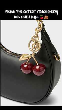 Follow and comment for "Links"

#cherrycharm #bagcharms #pin