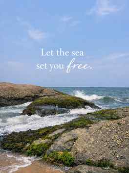 Some days, the ocean says everything I can’t. Each wave, a w