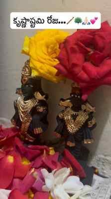 💙 Hare Krishna Hare Krishna
Krishna Krishna Hare Hare
Hare