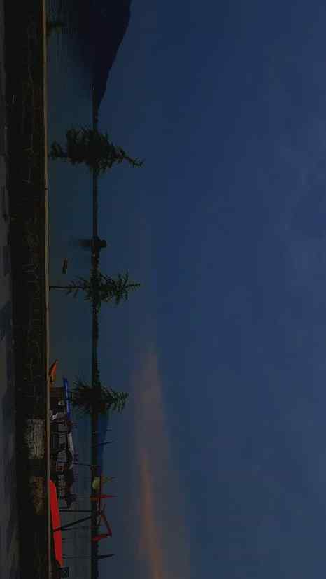 Kashmir❤️‍🩹 #viral #dallake #traveling 
#kashmir #travel