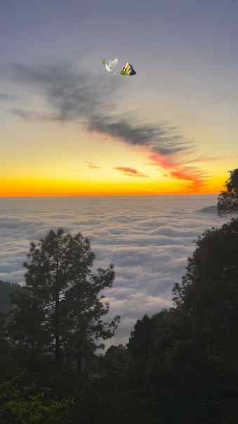 🕊️⛰️
#mountains #pahadonmein🏔️ #viral #peaceofmind #trave