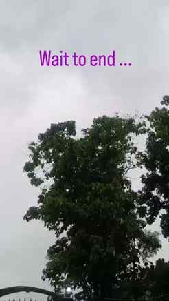 First barish 🌧️🌧️
.
.
.
.
#fyppppppppppppppppppppppppppppp