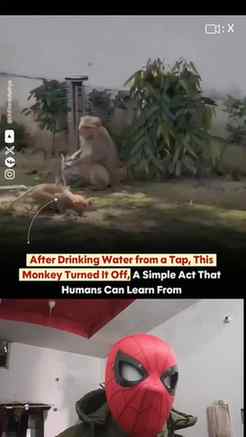Uttarakhand Police shared a video of a monkey turning on a t