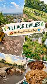 🌾VILLAGE DAIRIES 🪷 
 🏕️ Few Days Clips As Olden Days🦋
.
