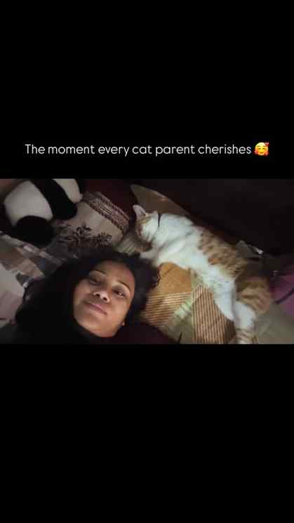 Billu and me 🌸😻.
.
.
(Cat videos, cat emotional moments, c