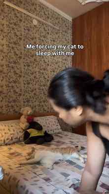 This is my favt. Thing to do with billu!
.
.
.
(Cat videos,