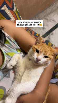 Billu like to chit chat whenever she is hungry!
.
.
.
(Cat r
