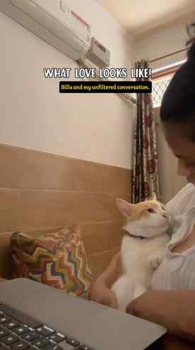 Just look at us… how beautifully she is replying!
.
.
.
(Cat