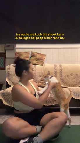 Do you think the same way?
.
.
.
.
.
(Cat videos, trending a