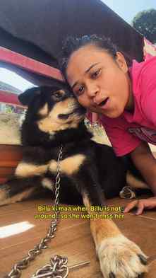 Billu’s mom on vacation.
.
.
.
(Cat lovers, cat mom, relatab