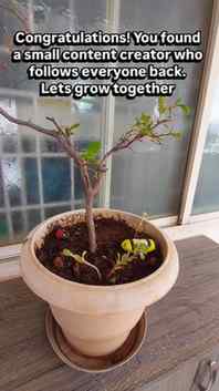 Let's grow together ❤️ 💛 ✨️ 

#SmallCreator #GrowTogether #