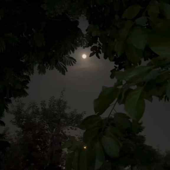 ~ "Wo kehte hain na..
Jo #insaan mann ki #takleefein bata n