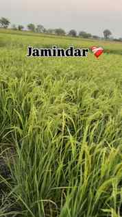 Jamindar ❤️🩹