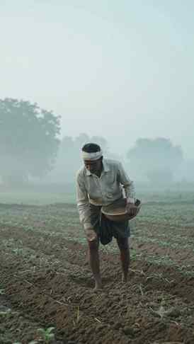 Kisaan