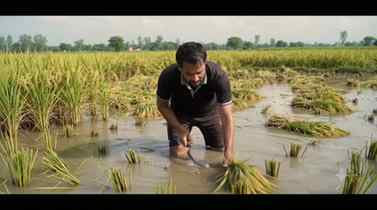 Farming