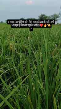 लाला EMI पे सिर्फ़ फ़्रोन मिल सकता है जवानी नहीं । अभी भी टा