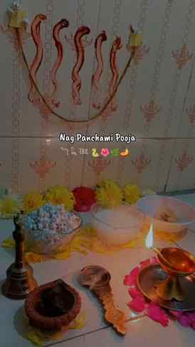 Nag Panchami Pooja 🐍🌿📿🪔
.
.
.
#nagpanchami #sawan #mahad