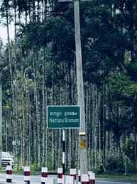 One more stop 🛵

#keralatourism