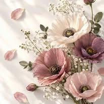 _only_akhila