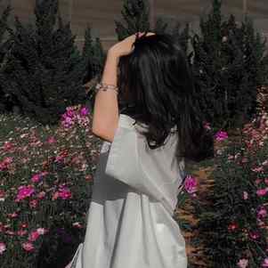 petal_andpeach