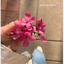 shytobloom291