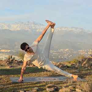 yogi